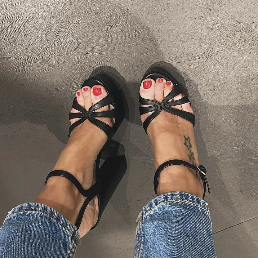VERA 688
