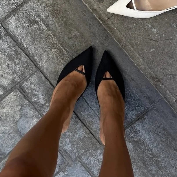 ASIA 1091